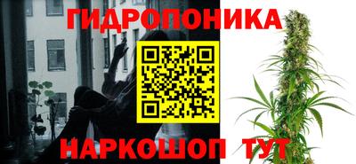 ALPHA PVP Гатчина