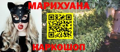 ALPHA PVP Гатчина